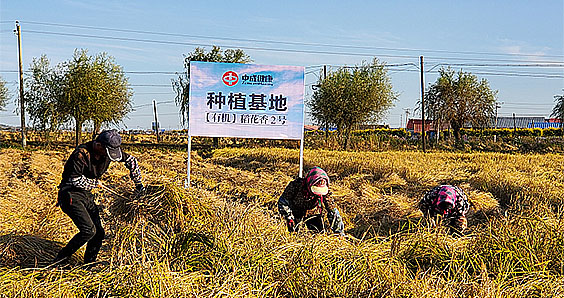 插圖-生産基地.jpg